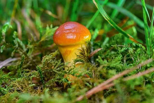 Jak przebiega odbiór i zdanie kampera wynajętego – checklista, protokół, wzory