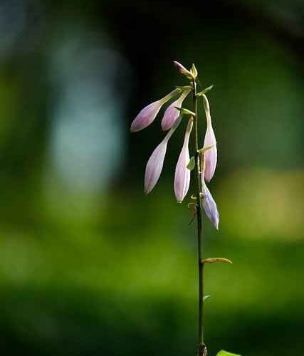 Jakie są ekologiczne zeszyty szkolne? Porównanie certyfikatów i marek