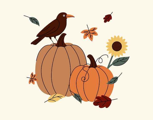 Odporne kampery na zimę – realne testy, koszty i wybór