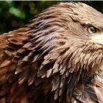 Gdzie najczęściej rejestruje się głosy zmarłych w budynkach – procedury i lista instytucji