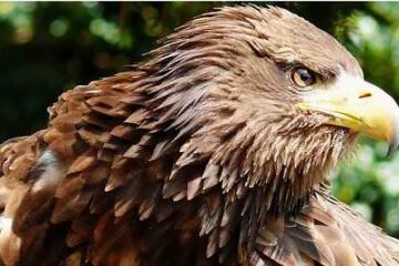 Gdzie najczęściej rejestruje się głosy zmarłych w budynkach – procedury i lista instytucji