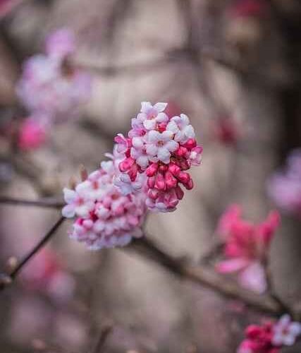 Które rośliny pionowe najlepiej filtrują formaldehyd – ranking i skuteczność